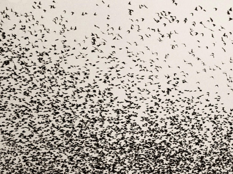 soren-solkaer-5m2-vignette-ok